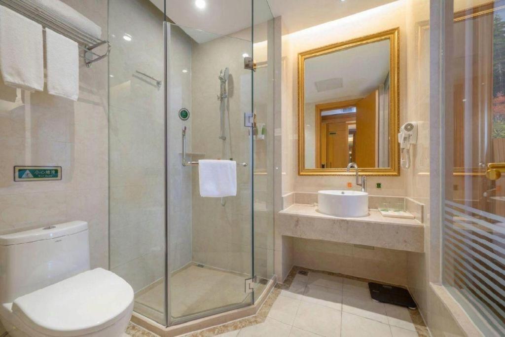 Hotel Vienna International Dishui Lingang Wanda 3*